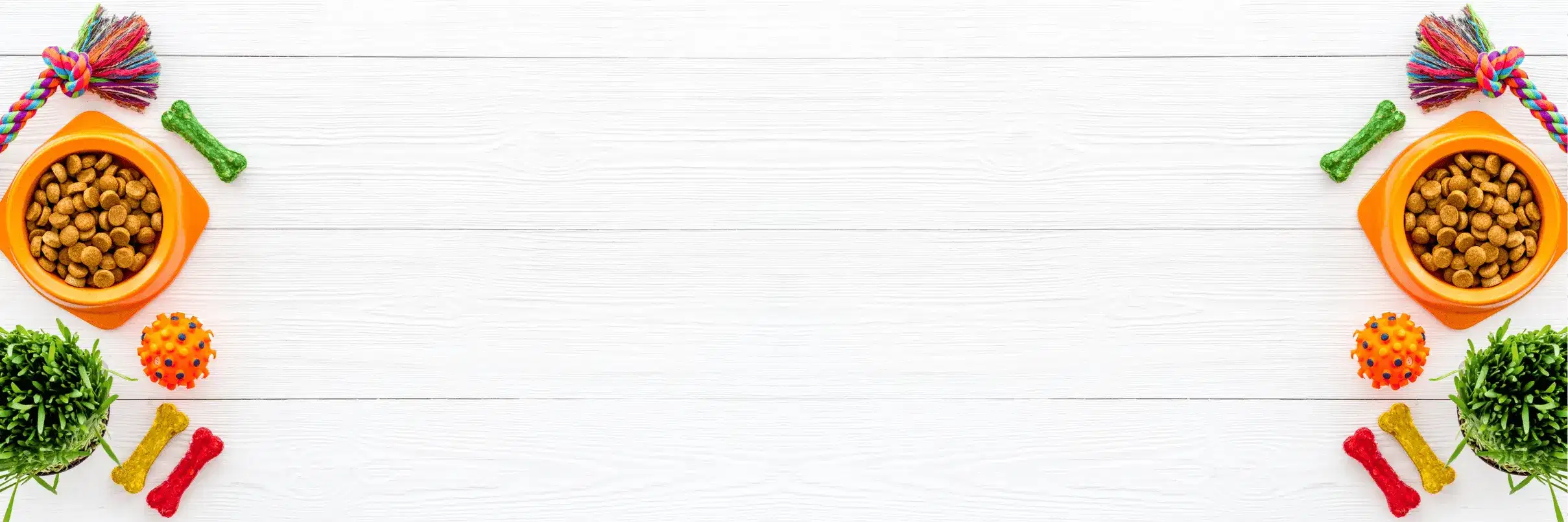 Pawsome Choice hero background