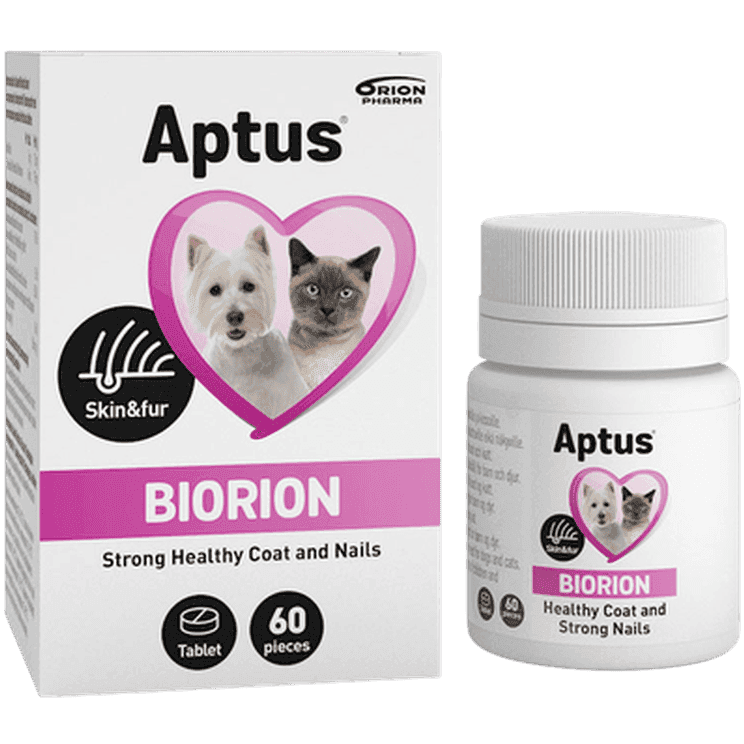 Biorion Tablett 60 st