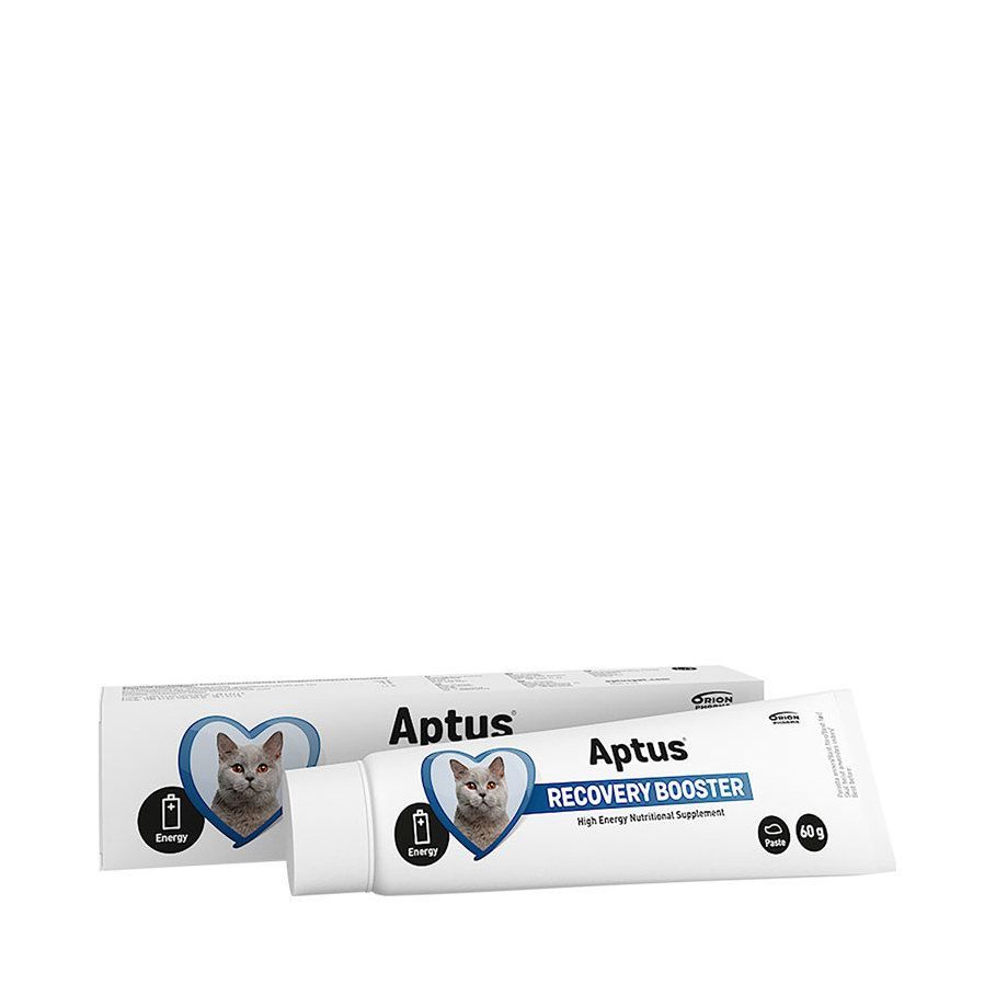 Recovery Booster Cat - 60 g