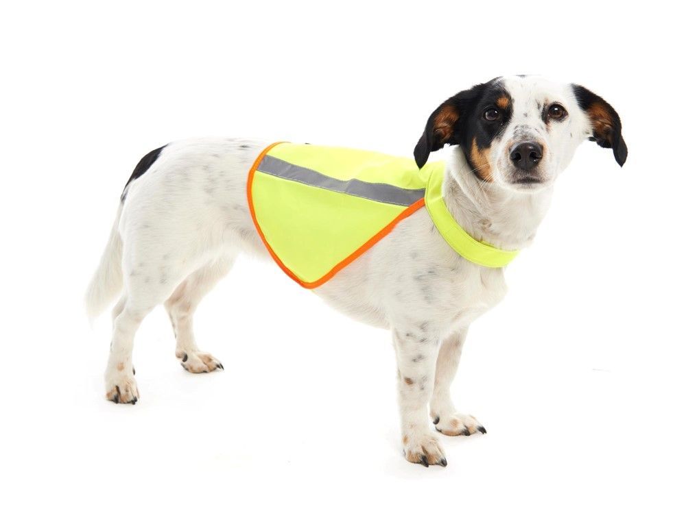 Reflexväst till hund B'Seen S