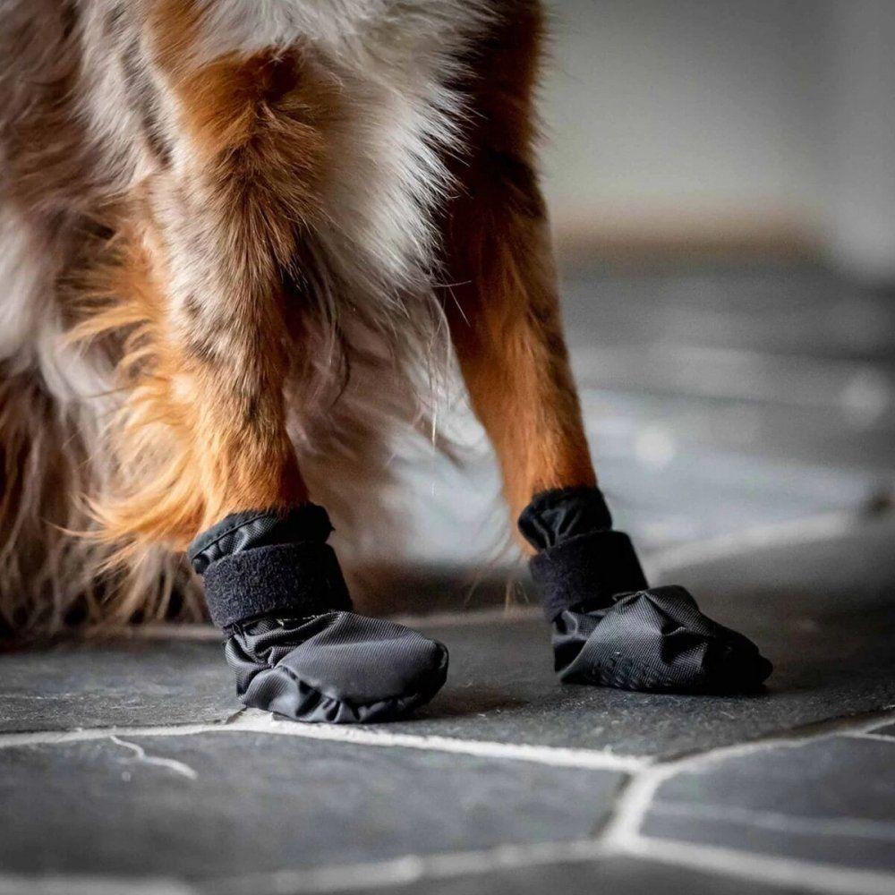 Back On Track Koda Hundskor (S)