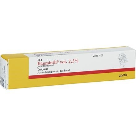 Banminth vet. oral pasta för hund 2,2% 24 g
