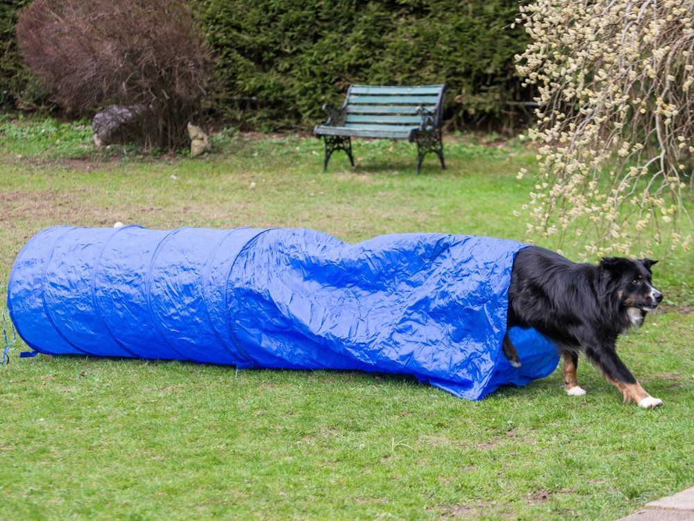 Agility Säcktunnel 3Mx60cm