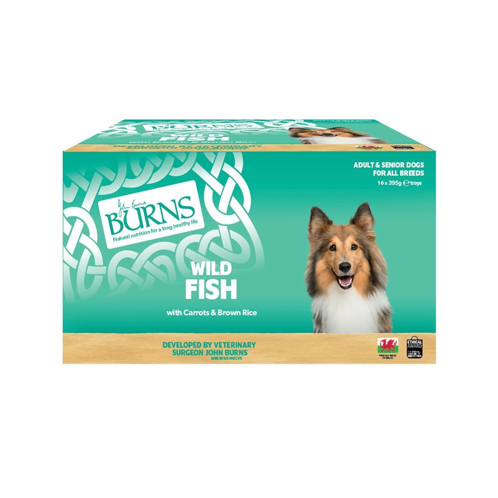 Burns 16 x 395 g - Fisk