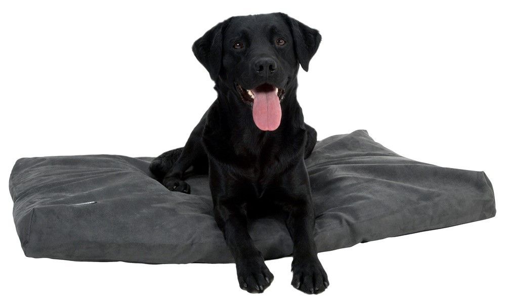 BUSTER Grå Hundsäng i Memory Foam 120x100 cm