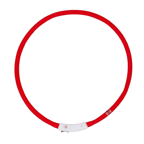 Led Halsbånd Rød 70 Cm - Hund - Halsband - CANEM - ZOO.se