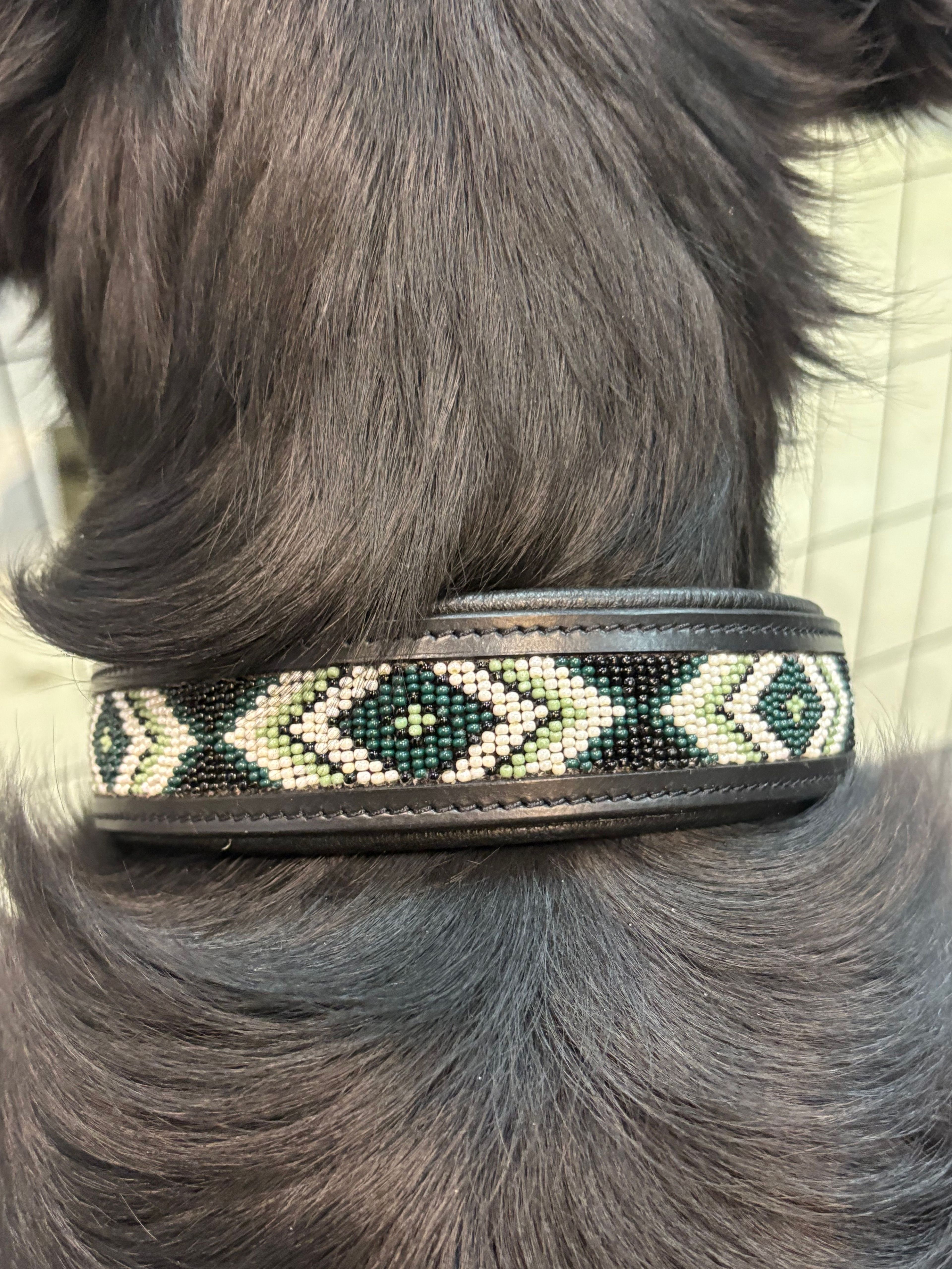 CATAGO Viben Hundhalsband i Läder  - Svart