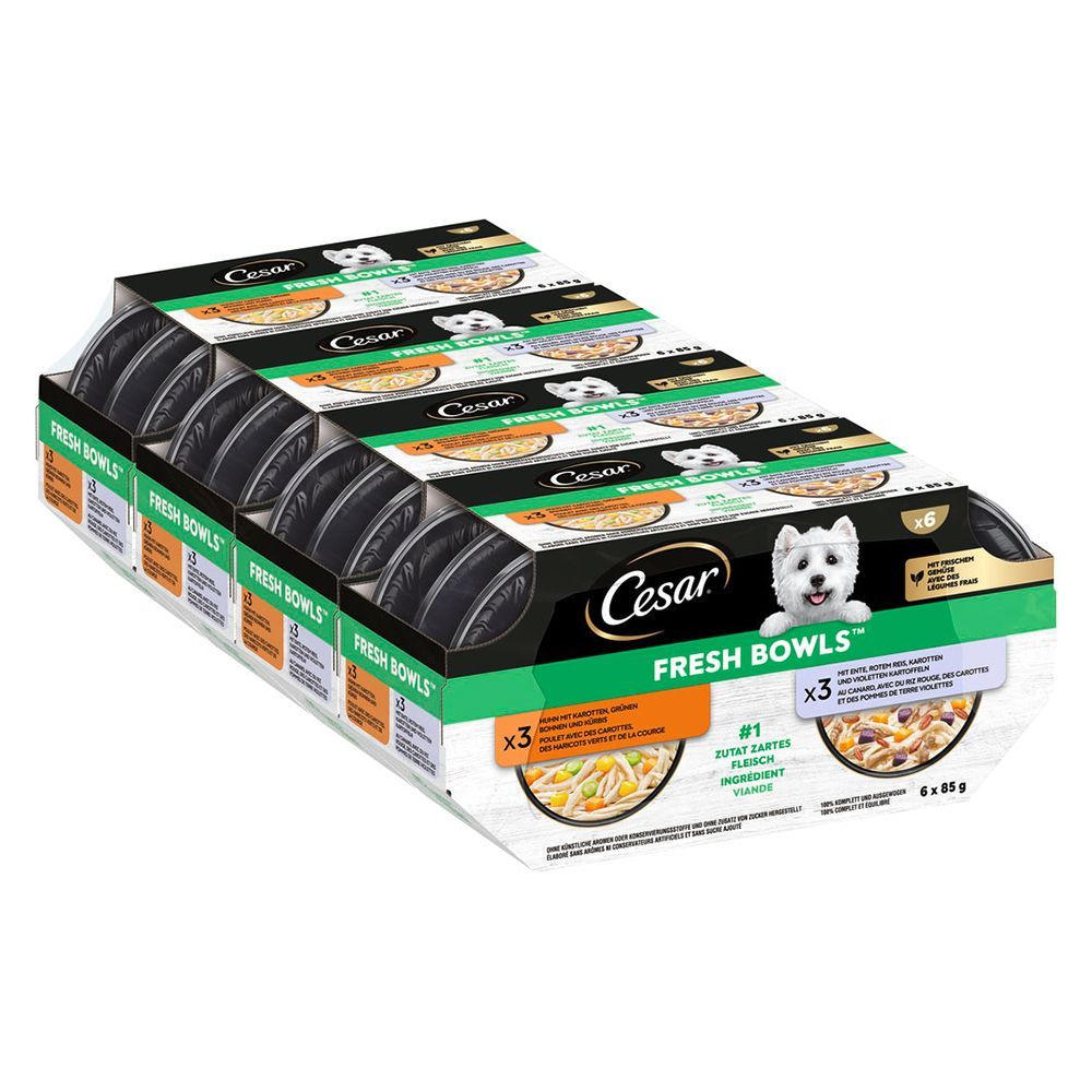 Cesar Fresh Bowls - Kyckling & Anka i sås (24 x 85 g )