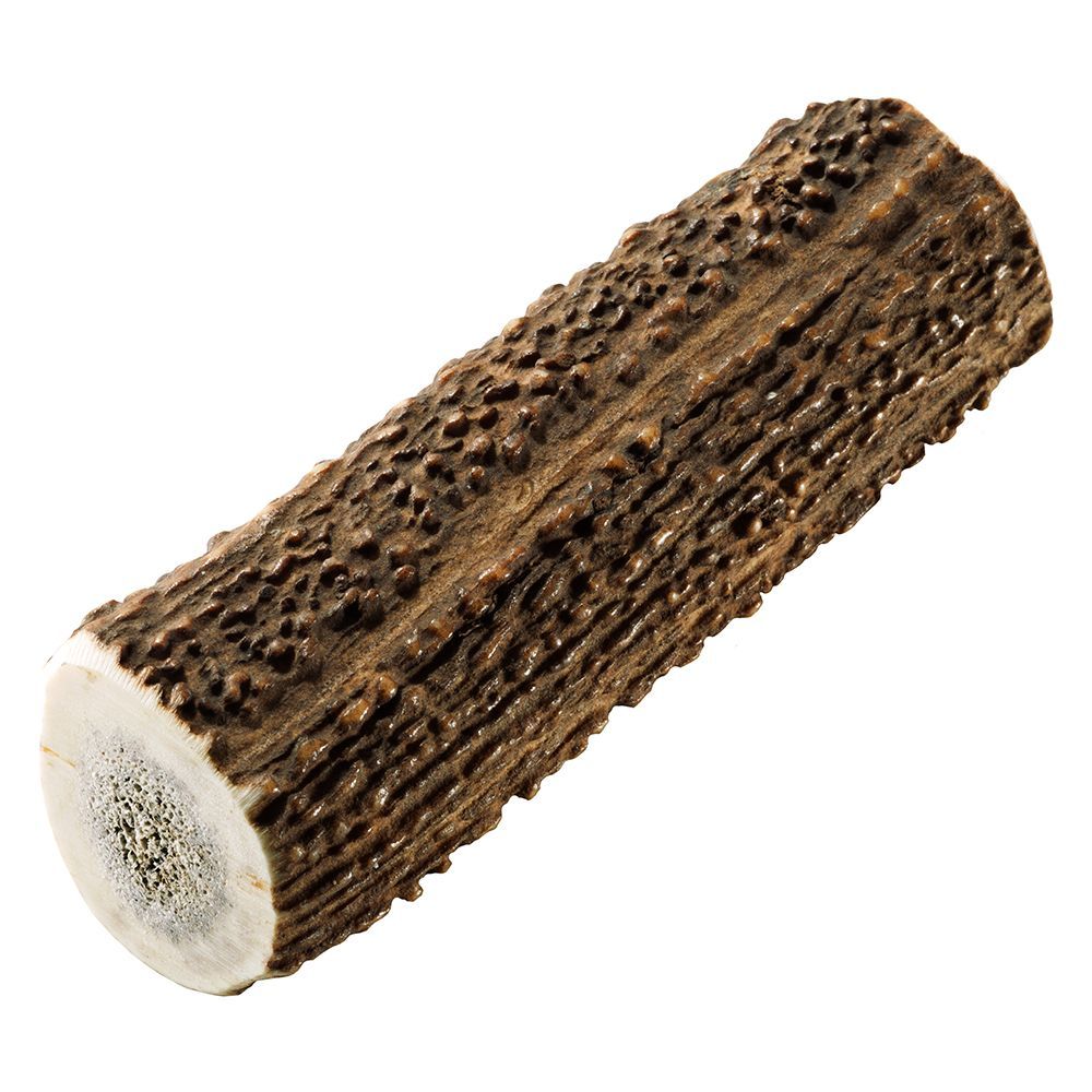 Chewies fällhorn från kronhjort - 2 x stl. L