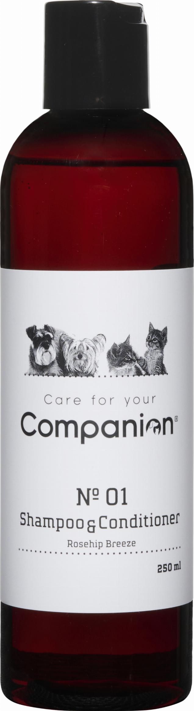 Companion 2-in-1 Schampo 250 ml