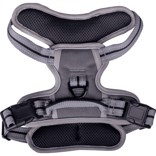 Companion No-pull hundsele (L)
