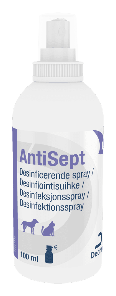 AntiSept - Flaska 100 ml