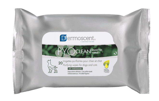 PYOclean® Wipes - 20 våtservetter