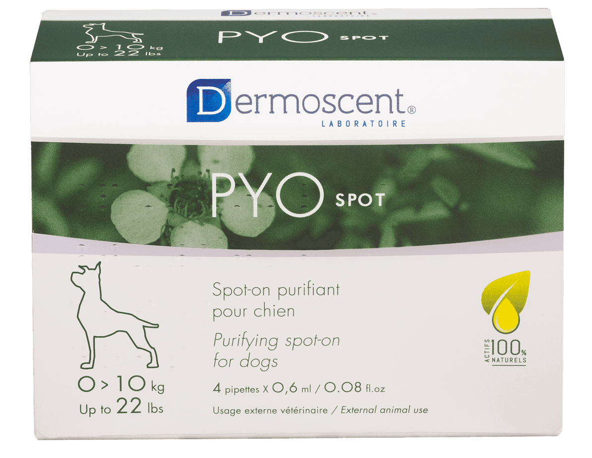 PYOspot® för hund - Medium (4 x 1,2 ml)