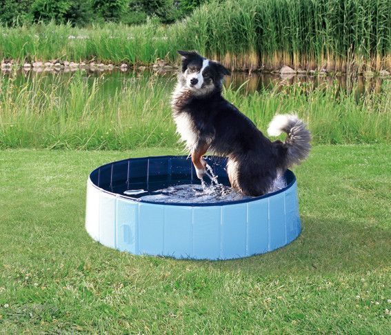 Svalkande pool för hund - L