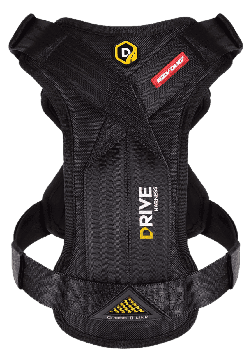 Krocktestad Bilsele Medium 38-86 cm 15-29kg