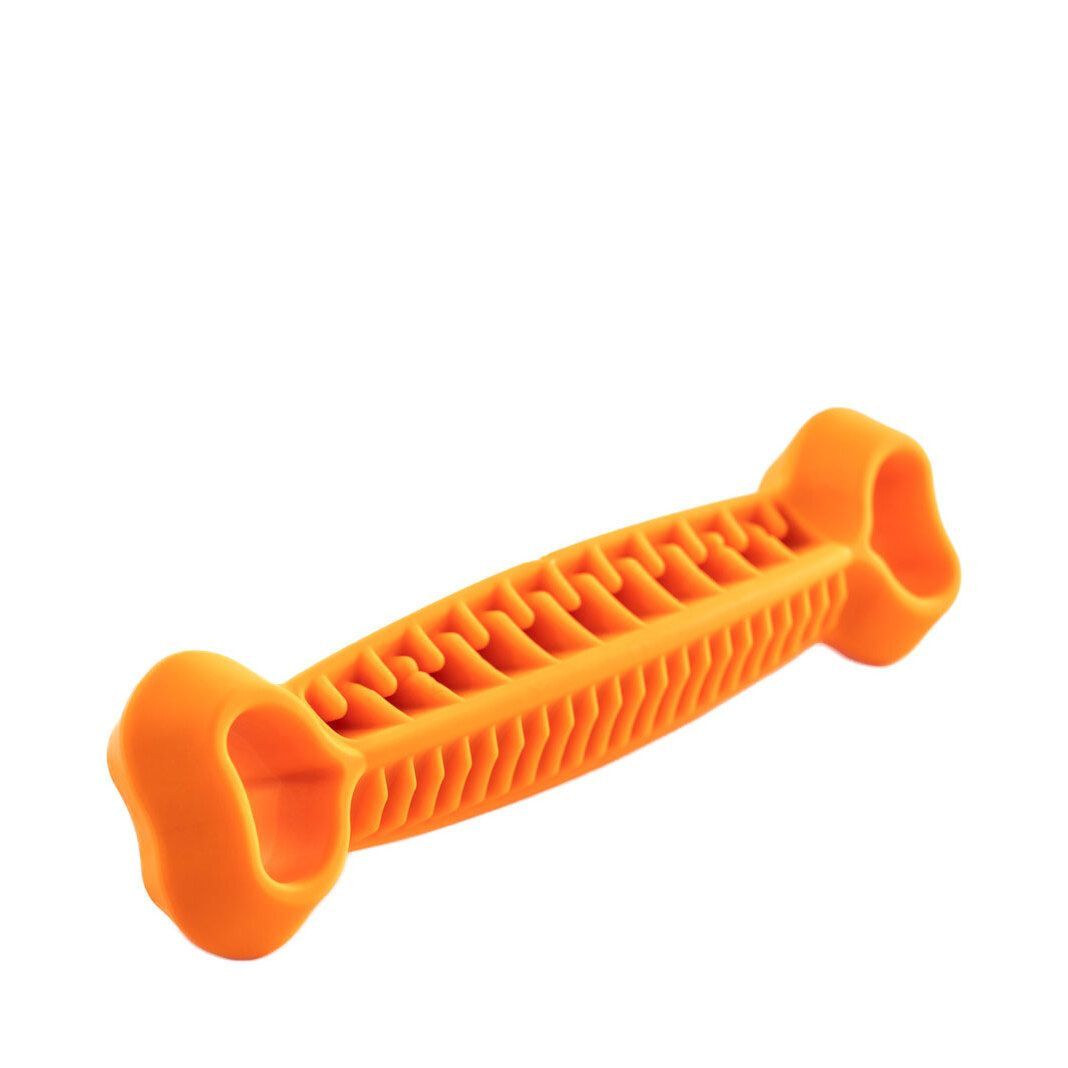 Fiboone Dental Orange