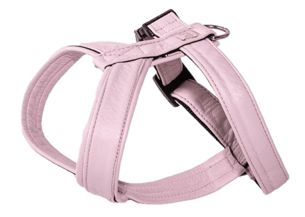 Lädersele Pro Rosa Nr 1,5