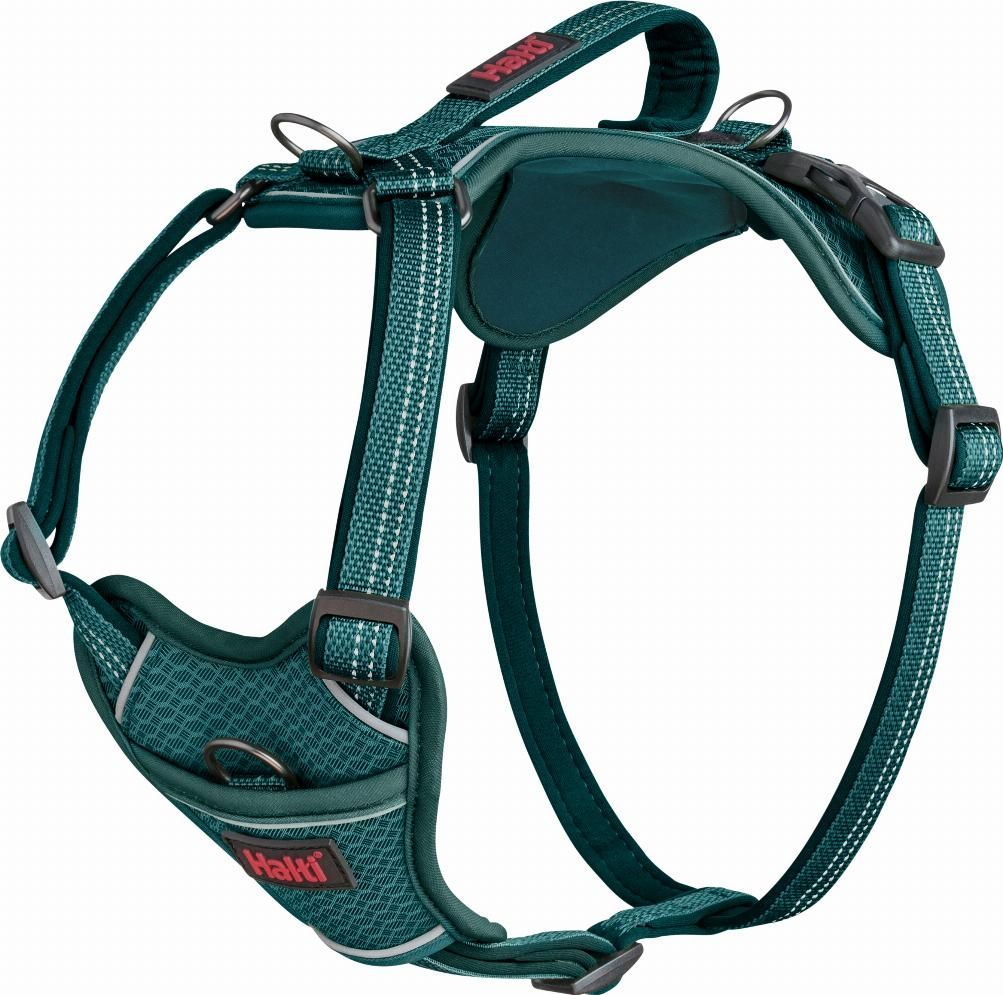 Halti Anatomy Hundsele - Turkos (M)