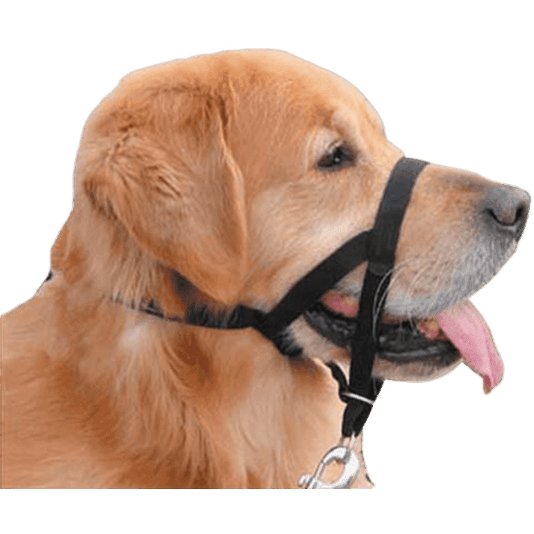 Headcollar Nosgrimma Black Nr 2