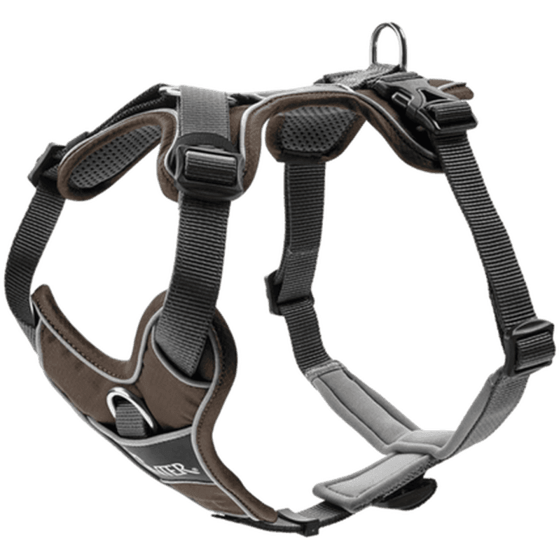 Hundsele Divo Brun/Grå XS Bröstmått 34-47cm