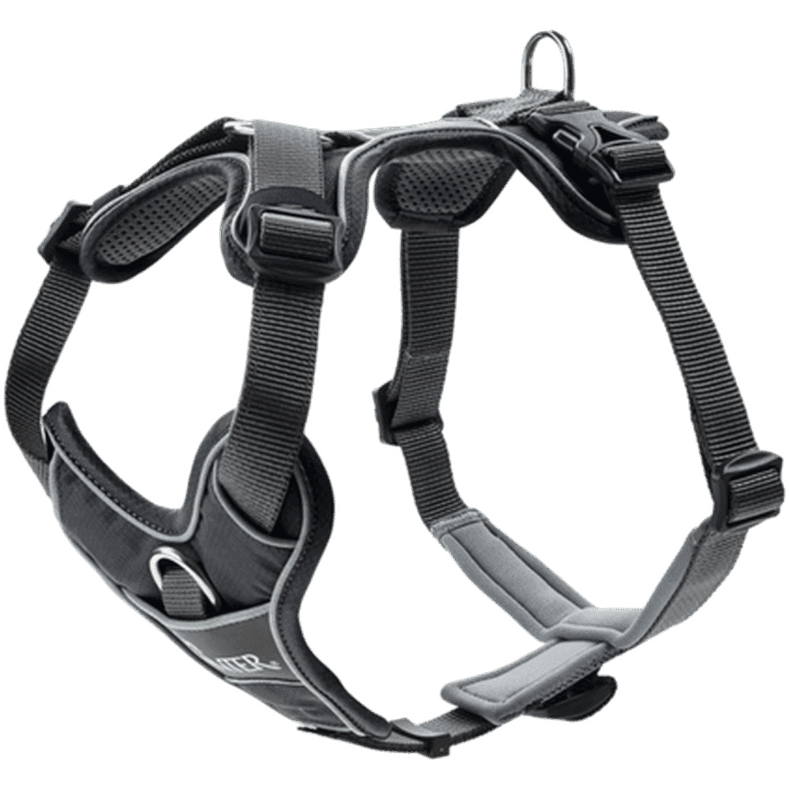 Hundsele Divo Grå/Grå L-XL Bröstmått 79-107cm