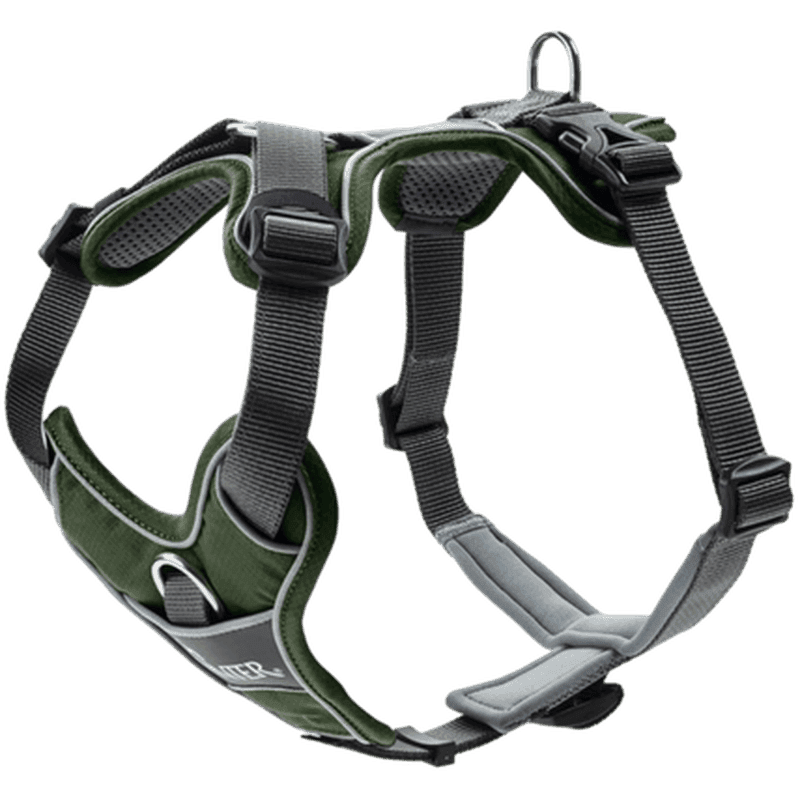 Hundsele Divo Grön/Grå L-XL Bröstmått 79-107cm