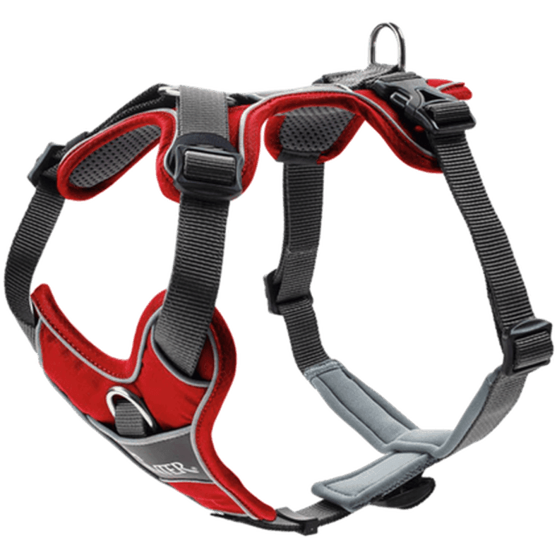 Hundsele Divo Röd/Grå L-XL Bröstmått 79-107cm