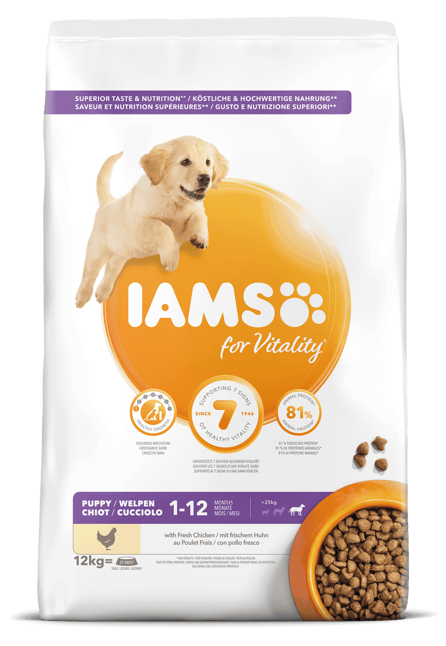 Dog Large Puppy - 12 kg