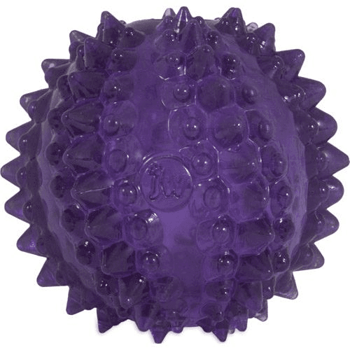 JW Bristly Cactus Ball