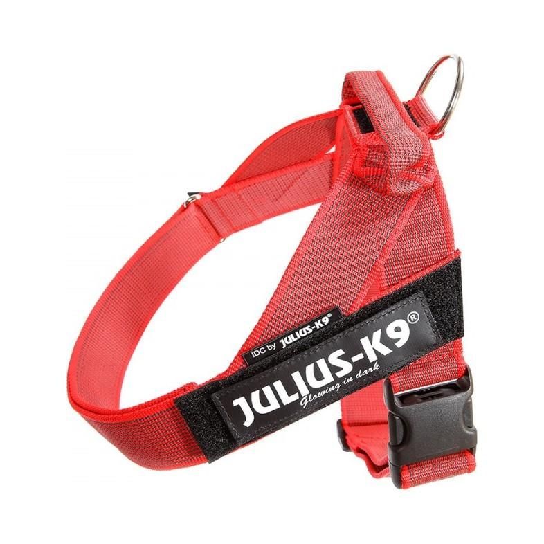 Julius-K9 C&G Sele - Röd / Size: 3