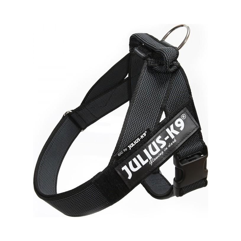 Julius-K9 C&G Sele - Svart / Size: 2