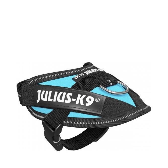 Julius-K9 IDC Sele Aquamarine - Baby 1