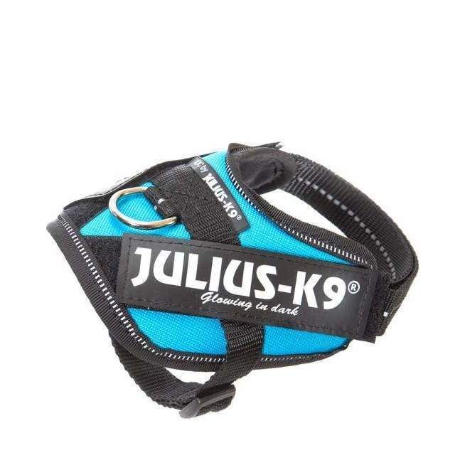 Julius-K9 IDC Sele Aquamarine - Baby 2
