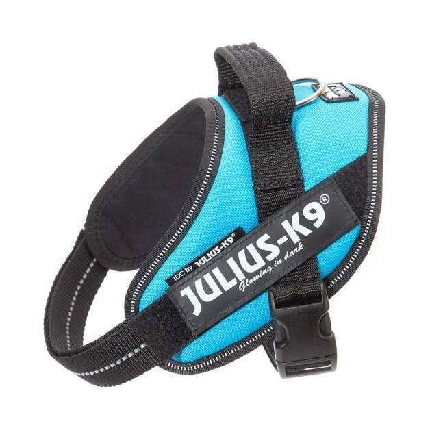 Julius-K9 IDC Sele Aquamarine - Mini