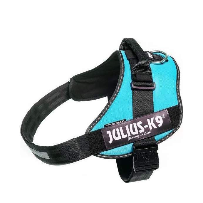Julius-K9 IDC Sele Aquamarine - Size: 4
