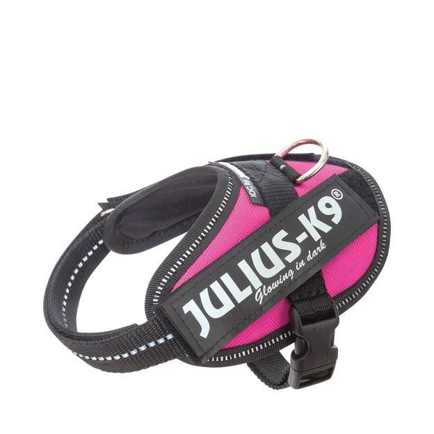 Julius-K9 IDC Sele Cerise - Baby 1