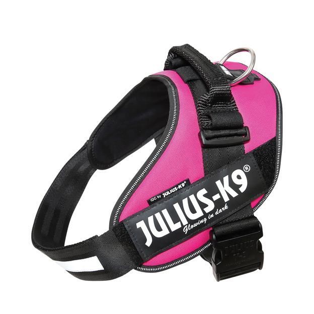 Julius-K9 IDC Sele Cerise - Size: 2
