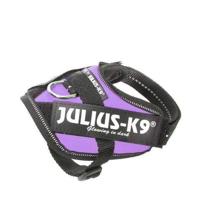 Julius-K9 IDC Sele Lila - Baby 2