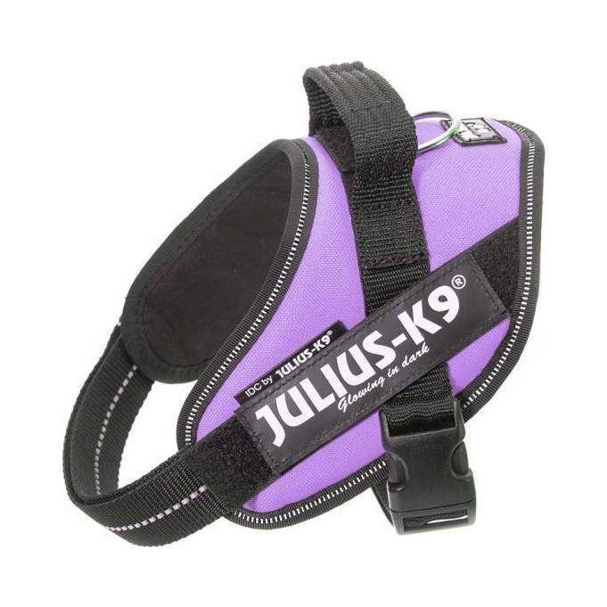Julius-K9 IDC Sele Lila - Mini