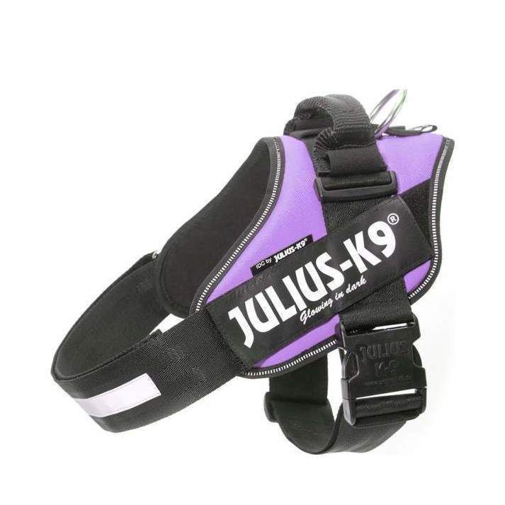 Julius-K9 IDC Sele Lila - Size: 1