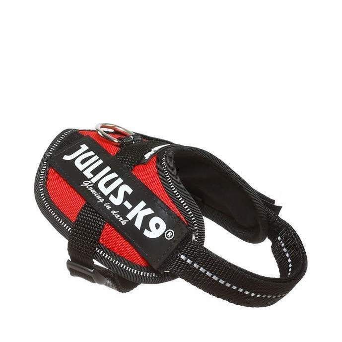 Julius-K9 IDC Sele Röd - Baby 2