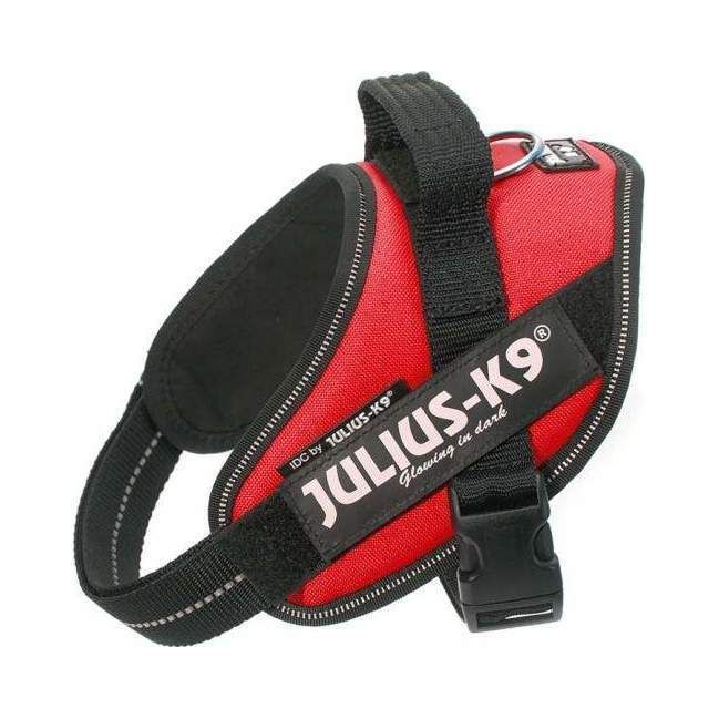 Julius-K9 IDC Sele Röd - Mini