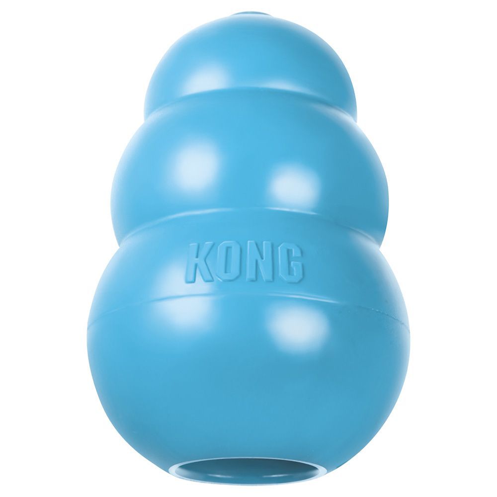 Puppy KONG - L, blå