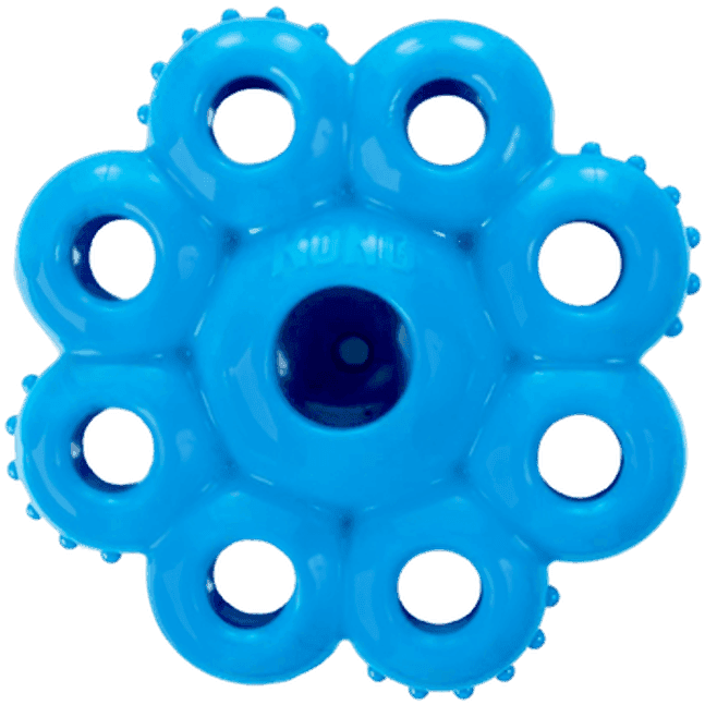 Quest Star Pods Small