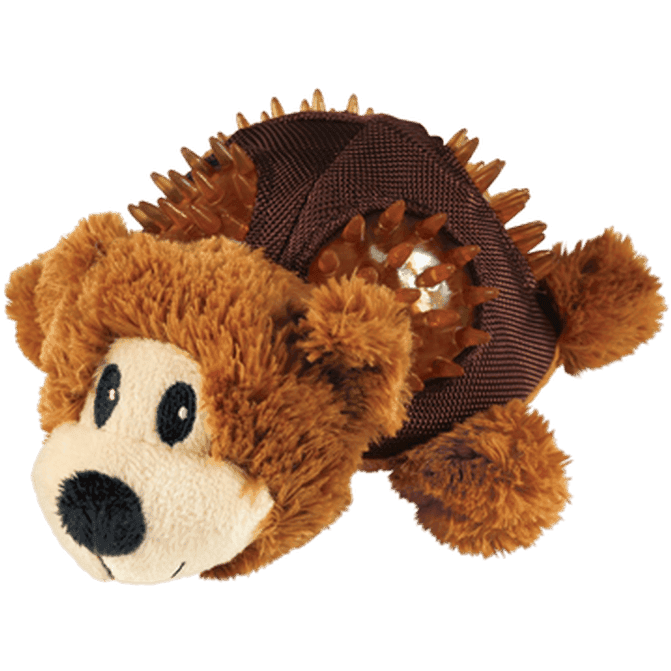 Shells Bear Small