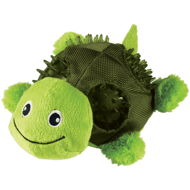 Shells Turtle Large
