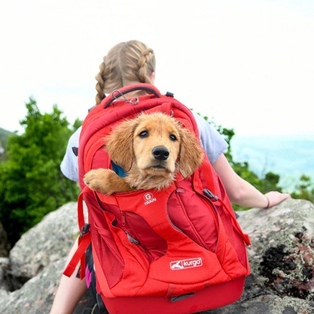 Kurgo G-Train K9 Pack Ryggsäck (Röd)