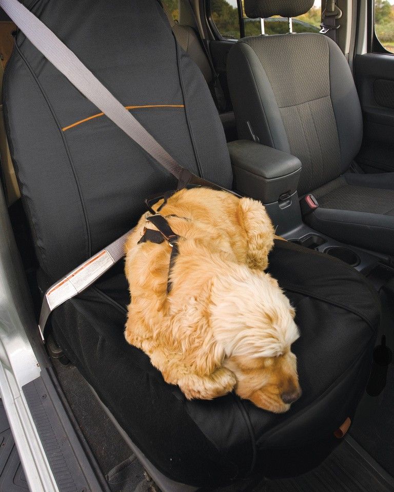 Kurgo skyddande klädsel för framsätet - CoPilot