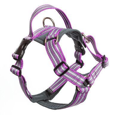 Future Walking Sele Lila - XS